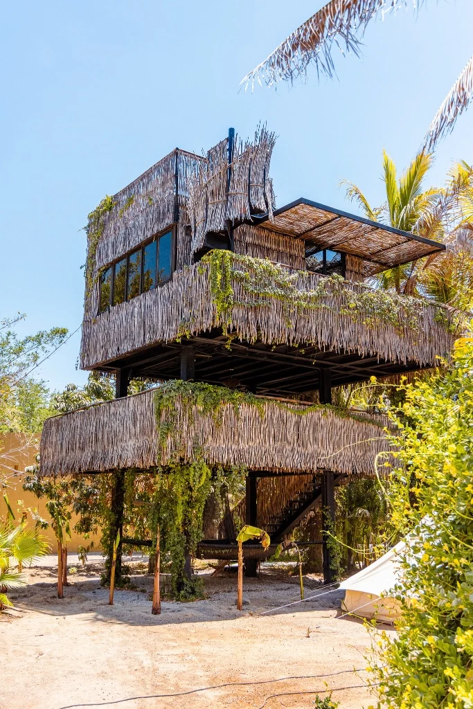 Elevated tree-house accommodation